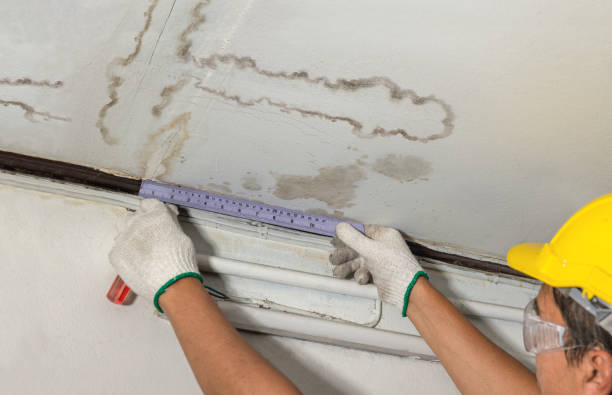 Reliable Water Damage contractor in Grant, MI by Water Damage Irwin
